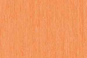 Линолеум Tarkett iq Optima Orange 0257 фото  | FLOORDEALER
